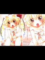 2508405(C79) (同人誌) [MeltdoWN COmet (雪雨こん)] 人間のくせになまいきだ。 (東方)