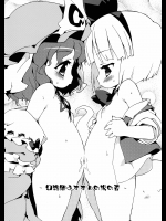 [Dr.VERMILION (ペテン師)] 幻想郷おすすめの湯の素 (東方Project)