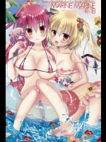紅魔館に海仕様のプールができたと聞いたんだが、夏だからか積極的な皆さんとSEXできてしまいました！幸せです！【東方Project 同人誌・エロ漫画】