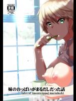 妹のおっぱいがまるだしだった話