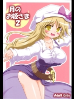 【膣内断面図】【中出し】東方Projectのエロ同人誌