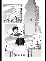 [朝木貴行] 桜