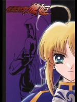 仮面ライダー龍姫          