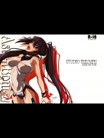 (C85) [STUDIO TRIUMPH (むとうけいじ)] アストラルバウトVer.27 (IS <インフィニット・ストラトス>)