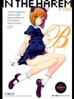 [少女騎士団(大槍葦人)] IN THE HAREM B SIDE (アイドルマスター)