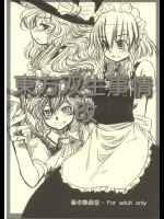 東方双生事情改          