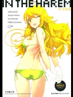 (C81)大槍葦人IN THE HAREM A SIDE