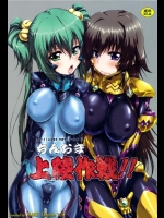 [珍譜堂 (まるい)] コミケ83会場限定 珍譜堂のオマケ本 略して ちんおま上陸作戦！！  (マブラヴ)