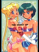 (C44) [血祭屋本舗 (朝凪葵)] THE SECRET OF 血祭屋 vol.6 (美少女戦士セーラームーン)