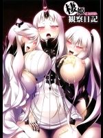 [AIR BOX] 棲姫観察日記 (艦隊これくしょん-艦これ-)_2