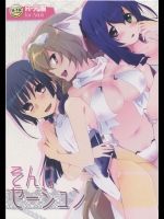 (COMIC1☆6) [ABLISS (迷)] そんなセージュン (境界線上のホライゾン)