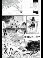 無人島褐色