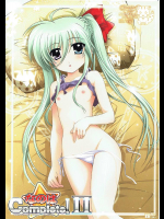 [サークルAV TIMTIMマシン]なのはComplete!2