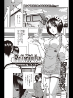 [ジャンキ－] Primula