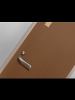 [スタンドエレクション] 叔母さんと甥っ子のラブラブ-4