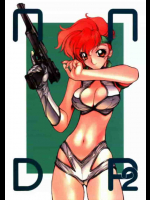 NN DP2