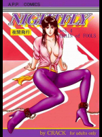 NIGHTFLY 夜間飛行 vol.4