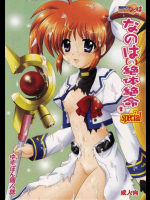 なのはの絶体絶命Special 2