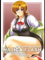 NAJICA FLASH