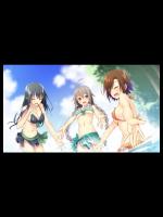 三極姫4 天下繚乱 天命の恋絵巻 豪華限定版