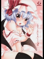 [MeltdoWN COmet (雪雨こん)] 人間のくせになまいきだ 2 (東方Project)