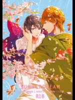 (C85) [CSSM (aha、E)] SUMMER DREAM (Free!)
