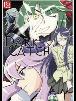 DARK CATCH