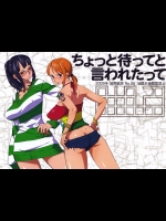 [油照紙 (ボボボ)] ちょっと待ってと言われたって (ONE PIECE)