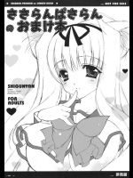 ささらんぱさらんのおまけ本          