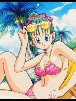 「ドラゴンボール」のブルマ_2