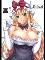 [satomachine. (佐藤36)] LINKAGE (東方Project)