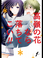 [夏目あやの] 高嶺の花なら落ちてこい！！ v01-02