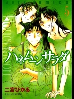 伝説の一般エロコミック・二宮ひかる「ハネムーンサラダ」5巻（終）