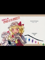 わたしのお姉さま候補!! (東方Project)