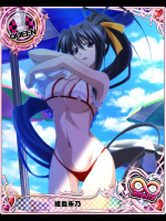 ハイスクールD×Dのエロ画像12