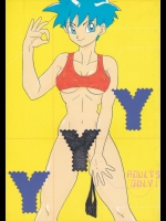 [ちり紙小屋, ふすま御殿 (障子張子)] YYY (ドラゴンボール)