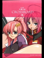 [紅茶屋(大塚子虎)] CrossRoad光 (機動戦士ガンダムSEED)