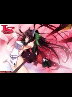 [流石堂 (流ひょうご)] LS Lovers-Striker (IS＜インフィニット・ストラトス＞)