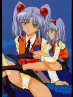 GADGET ルリ本