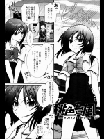 [浅草寺きのと] 桃色台風
