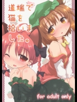 [がいなもん (夏の紅茶)] 道端で猫を拾いました。