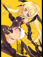 (C79) [GALAXIST (BLADE)] 雷籠 (魔法少女リリカルなのは)_2