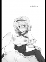 [ウミナリ]いんらんアリス(東方Project)