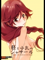 [流石堂 (流ひょうご)] 胚と小乳のシャサール (灰と幻想のグリムガル)