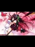 (サンクリ50) [流石堂 (流ひょうご)] LS Lovers-Striker (IS＜インフィニット・ストラトス＞)