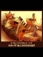 狸×狐