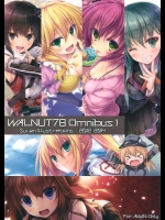 (C89) [翠苑 (翠燕)] WALNUT78 Omnibus1 (艦隊これくしょん -艦これ-)