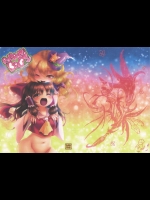 [Chaotic Wolf]PONPON BABY(東方Project)