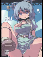 (紅楼夢8) [リーフジオメトリ (はきか)] S.N.T (東方Project)